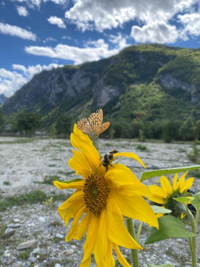 Vita Guesthouse Bajram Curri Luaran gambar